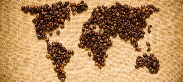 The coffee world in two words: Arabica & Robusta - Café Liégeois Canada Inc.