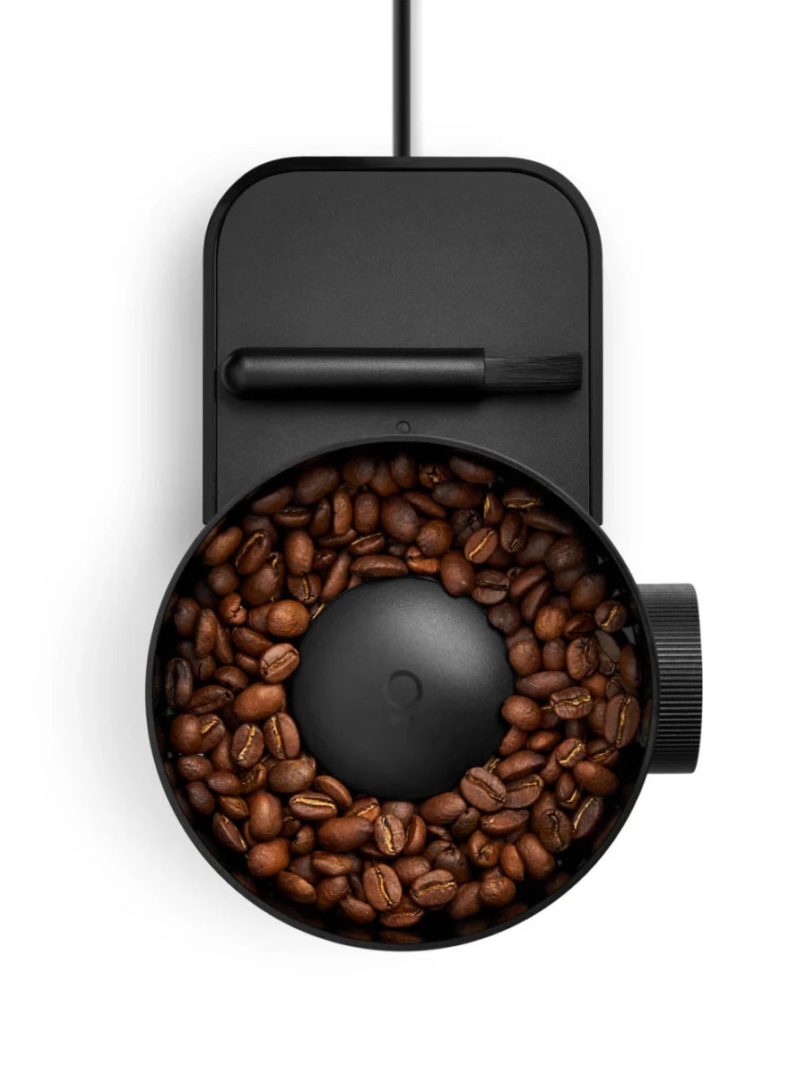 Fellow - Opus 2 Conical Burr Coffee Grinder - Café Liégeois Canada Inc.