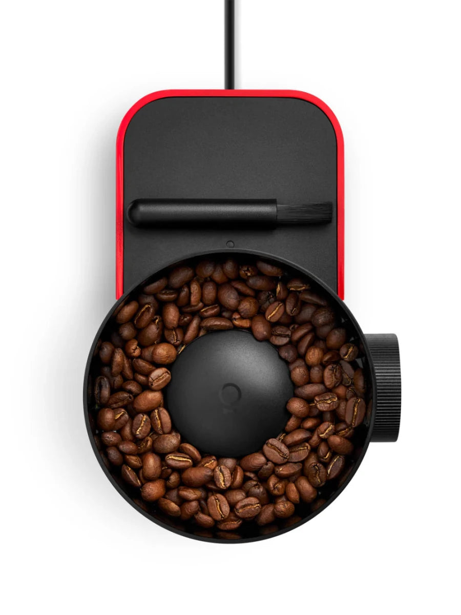 Fellow - Opus 2 Conical Burr Coffee Grinder - Café Liégeois Canada Inc.