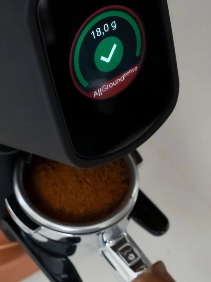 Fiorenzato - AllGround Sense Coffee Grinder (120V) - Café Liégeois